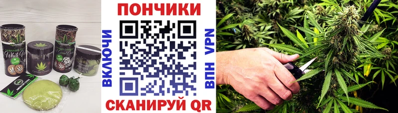 Canna-Cookies марихуана  Струнино 