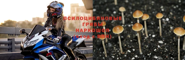 дурь Пролетарск