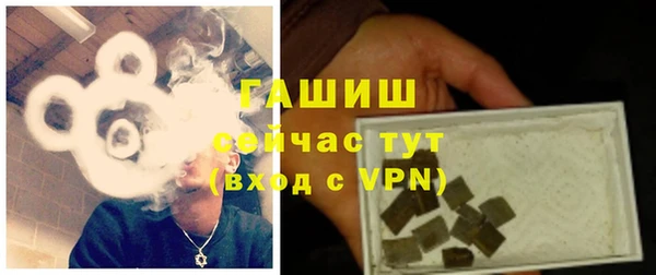 дмт Гусев