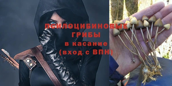 дурь Пролетарск